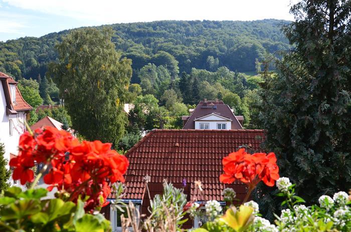 Villa Sonnenseite Jonsdorf Extérieur photo